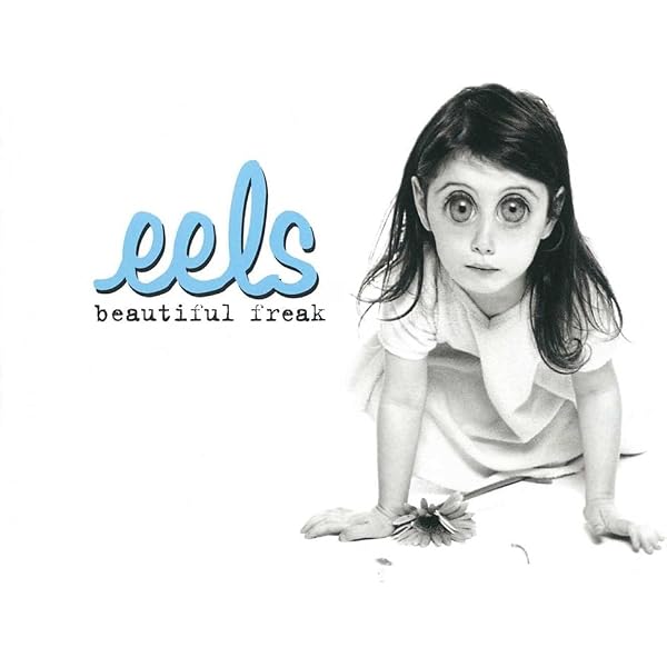 Daisies of the Galaxy : Eels: Amazon.es: CD y vinilos}